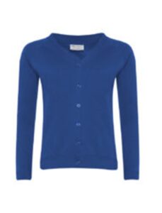 Blue Cardigan